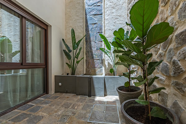 The Artist Patio extérieur