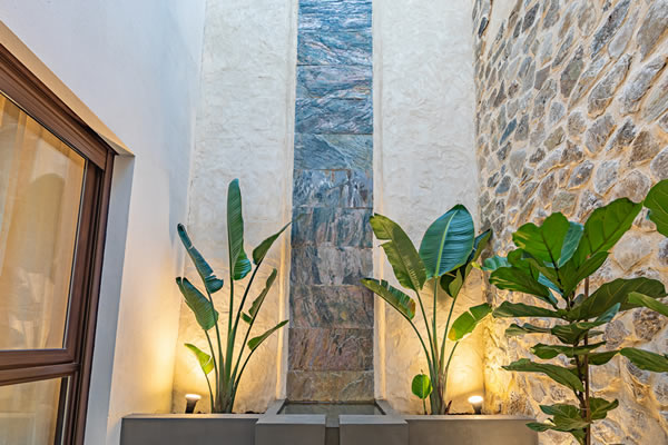 The Artist Patio extérieur